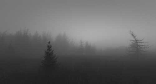 untitled-1-2 | by kyledarrenhanson