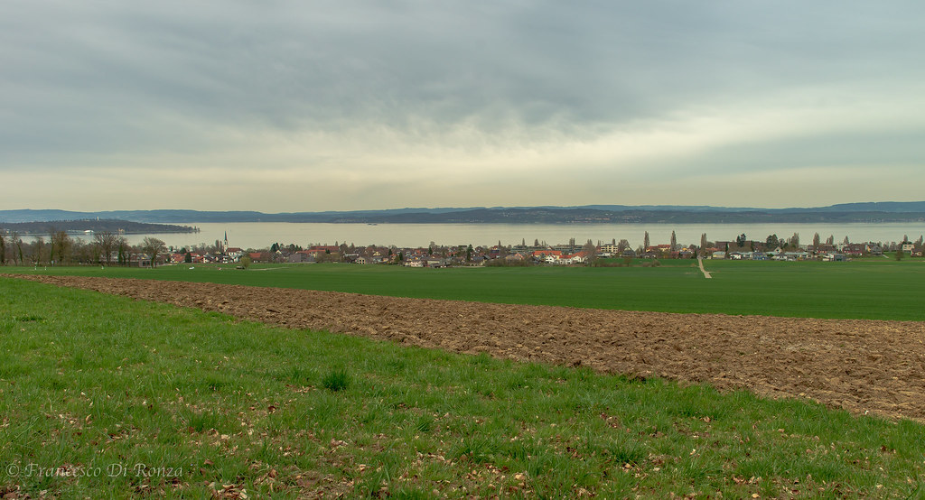 view of Lake Constance 2.)-2780