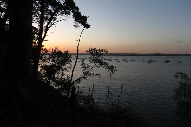 Poole Harbour from Brownsea Island
