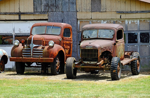 Dodge trucks