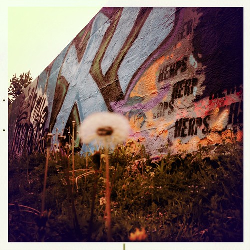Graffiti Bomb-Andrew Hutchinson #makebeautiful | by lightingbug1