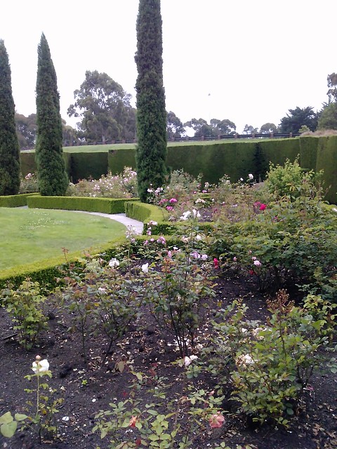 Trevor Griffiths Rose Garden
