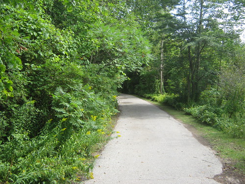Path | by gotransitbiketouring