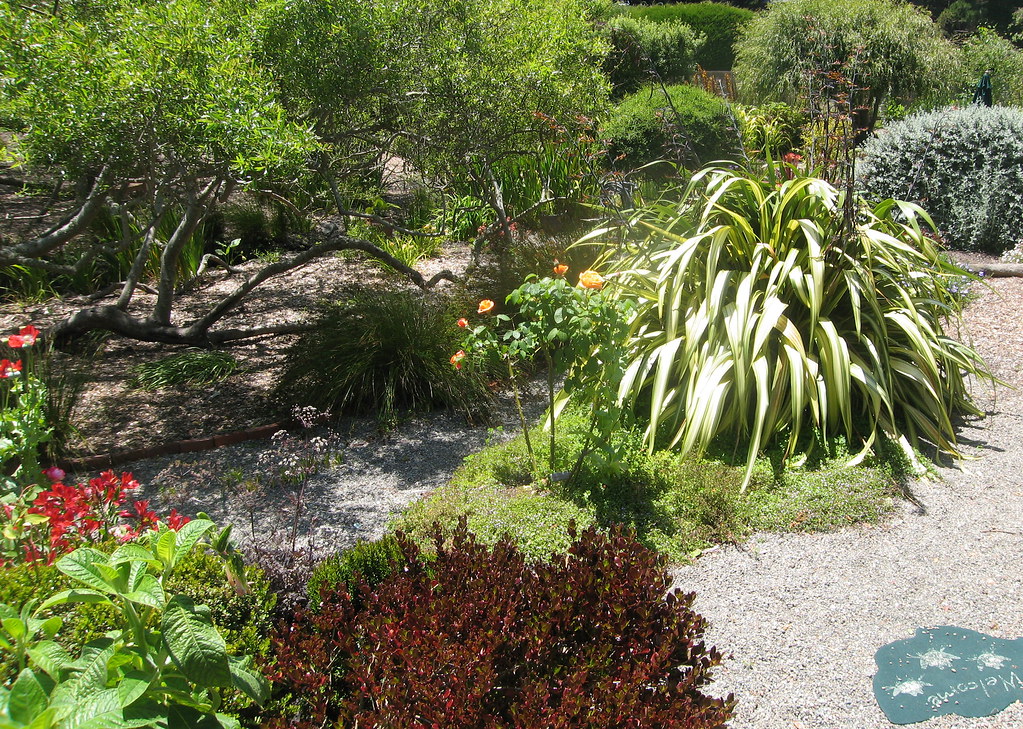 Sally Robertson's Artsy Garden in Bolinas