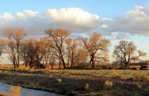 golden hour goldenhour trees stream canal spring clouds farmequipment sunset sanluisvalley backroads backroad ranch countryside rural fence alamosa colorado