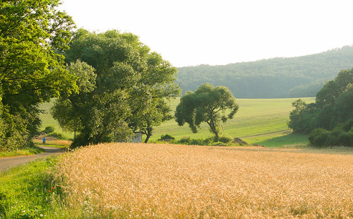 flickr horná ves village dedina countryside country vidiek summer leto fileds agro landscape krajinka grain harvest slovakia slovensko eu europe trees palo bartos bartoš canon