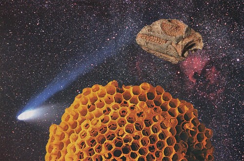 Planet Honeycomb And The Fossil Asteroid