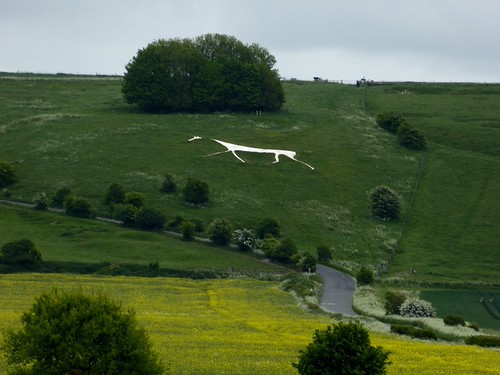Week 6 - Horses | by David_Broughton