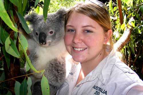 Koala with keeper at Australia Zoo