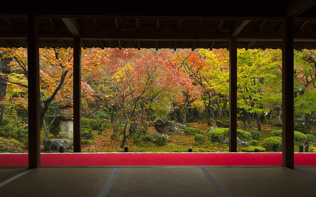 Enkou-ji in Autumn 秋の圓光寺