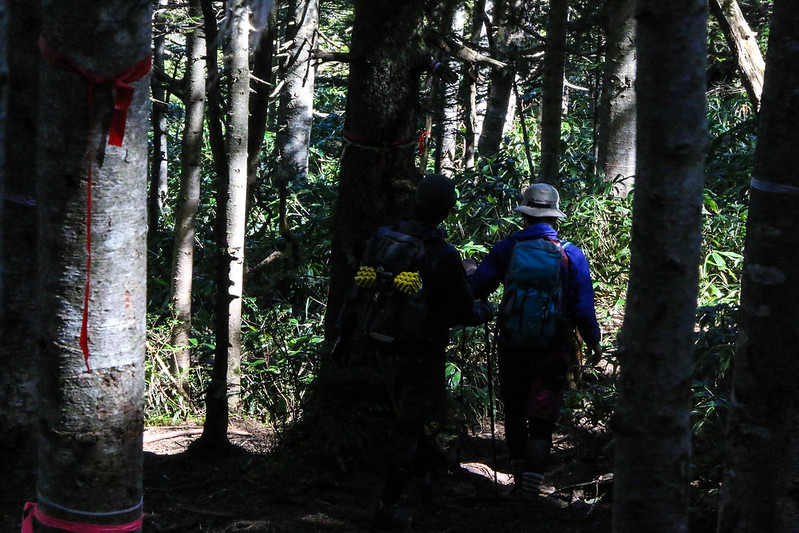 四阿山から根子岳へ