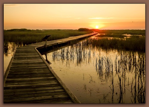 boardwalk gambusianaturetrail gulfcoast landscape searimstatepark stateparks sunrise tx texas water wetlands portarthur