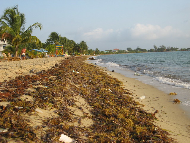 Beach (Placencia, Belize)