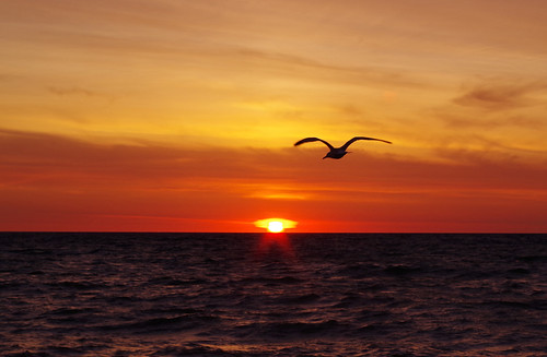 lake superior sunrise minnesota pentax minn mn gull seagull tern two harbors north shore flood bay flickriver