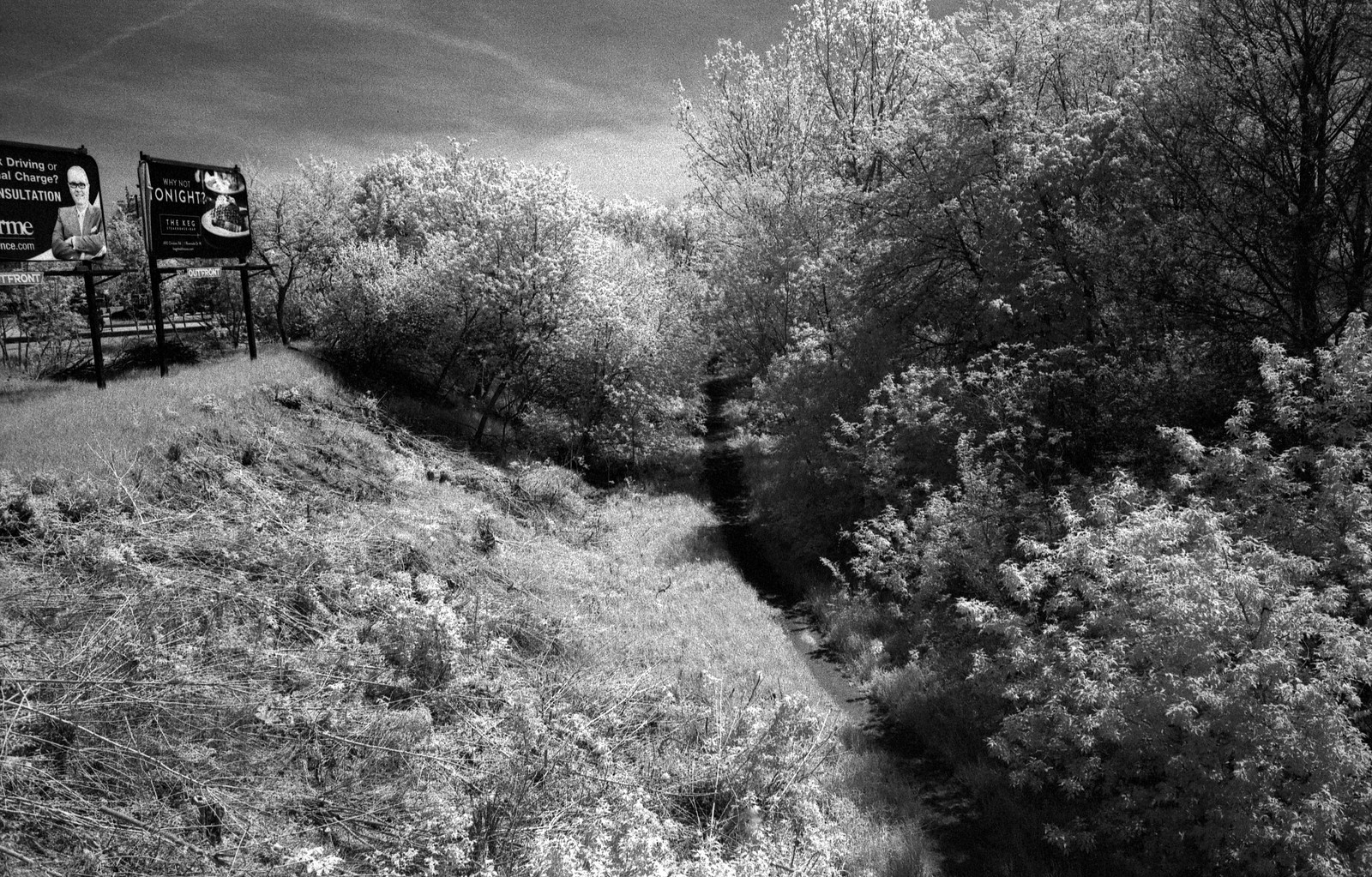 CCR:FRB - Review 19 - Rollei IR400 - Roll 04 (TMax Developer)