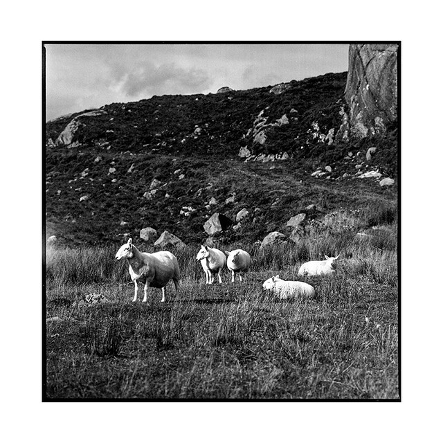 nomads • mull, scotland • 2017