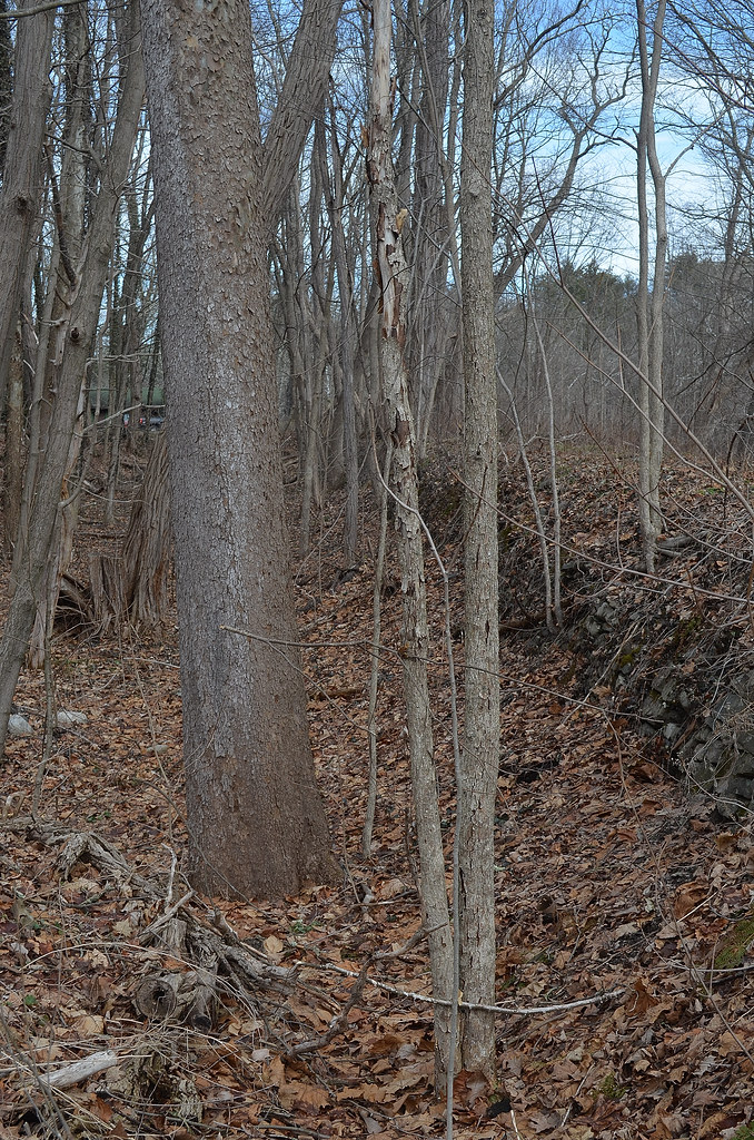 Canal Remains