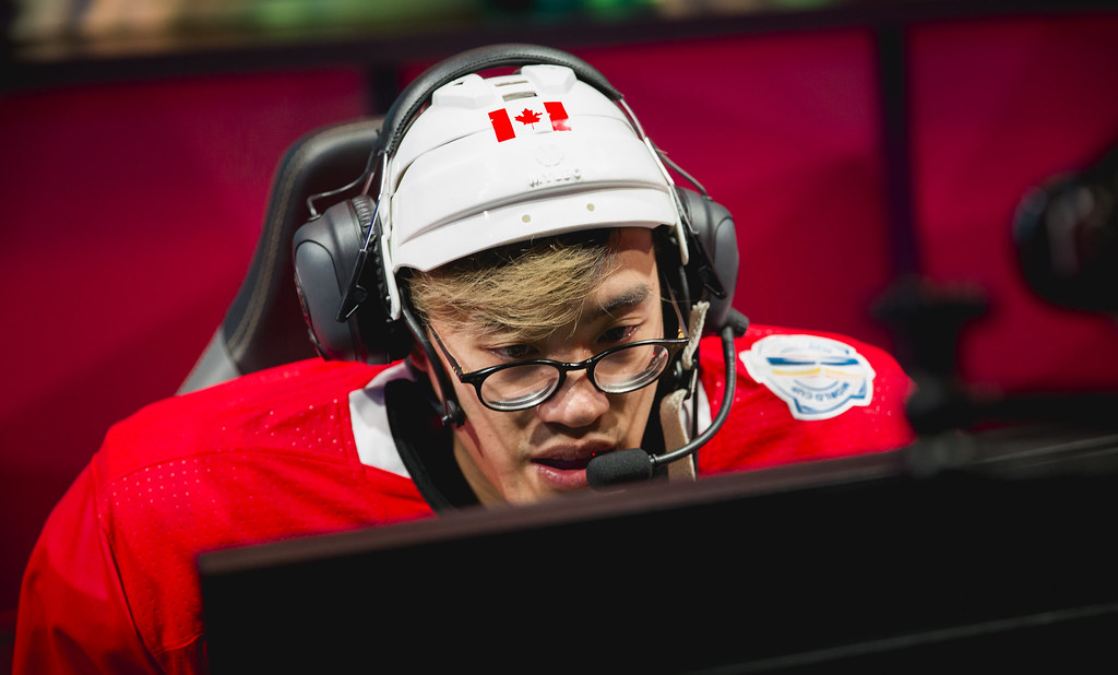 HOCKEY PLAYER WILDTURTLE