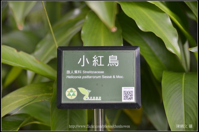 台北市植物園_小紅鳥看板