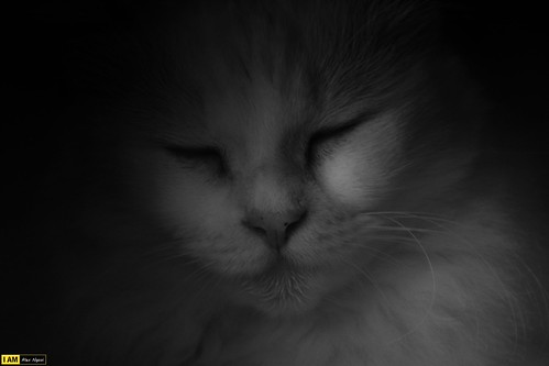 Buffering | by alexngooikl