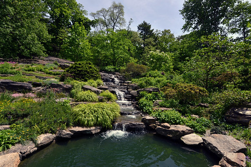 gardens landscapes landscapearchitecture newyorkbotanicalgarden alpinerockgarden