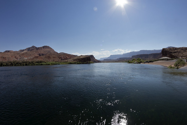 Lees Ferry, Colorado River, Glen Canyon National Recreation Area, Coconino County, Arizona 1