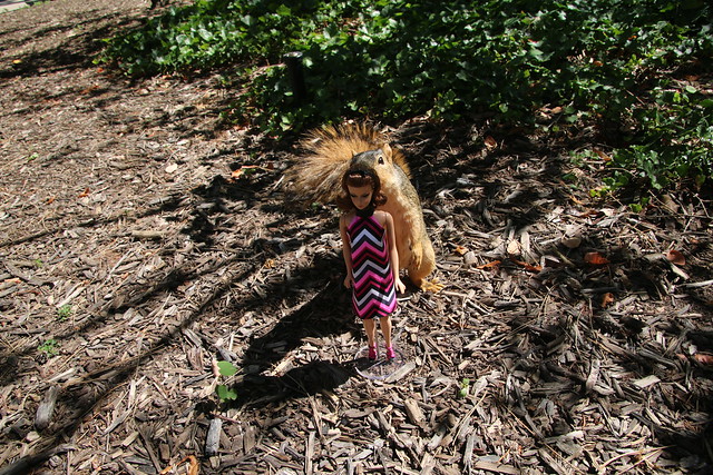 Squirrels and...Barbie!  Taken in Ann Arbor at the University of Michigan (June 30, 2016)
