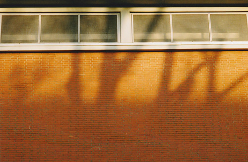 shadow continuum | by Ding Ren