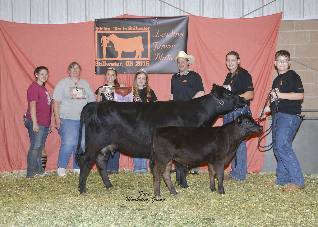 Reserve Grand Champion FB Cow/Calf Pair: MRG Vesper 54B, Cassie Wells, Dodge City, KS
