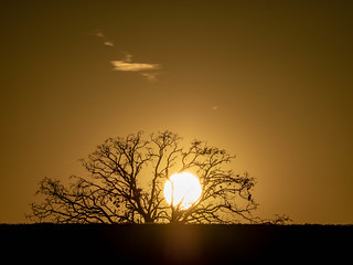 sunset-4110133.jpg