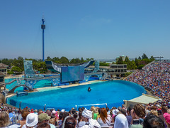 Photo 3 of 18 in the Day 8 - SeaWorld San Diego & Belmont Park gallery