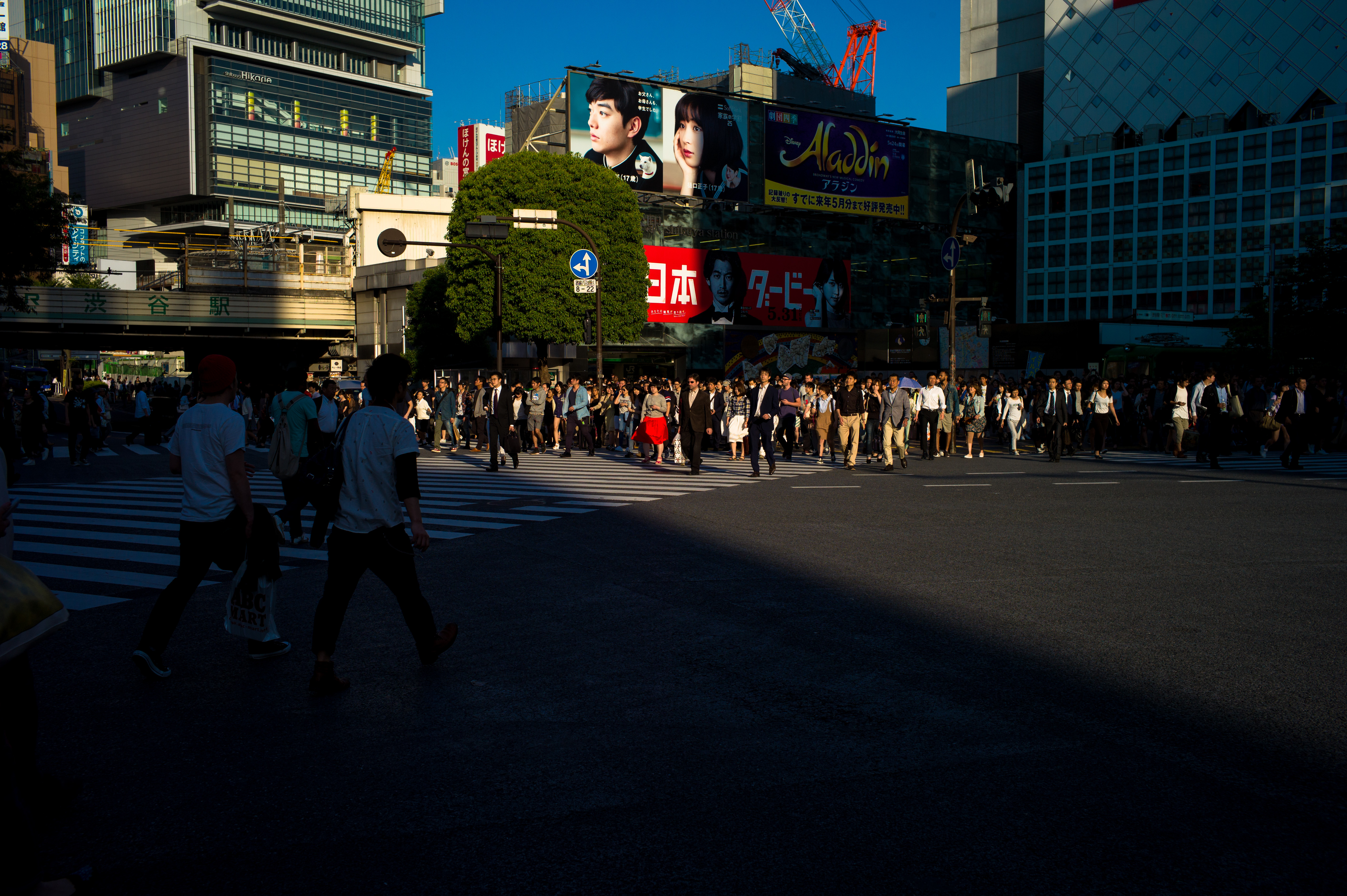 TOKYO Leica L1000580-2