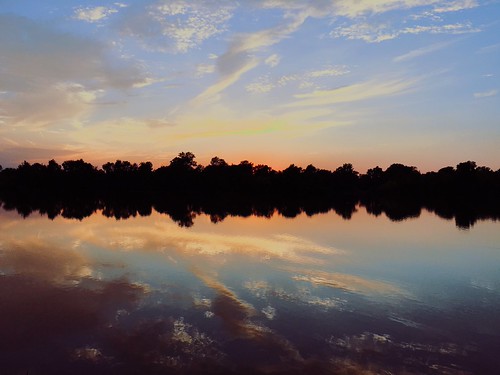 222 by Lee Saborío, Returning Bone Clocks...silhouettes silhouette reflections reflection trees water sunset