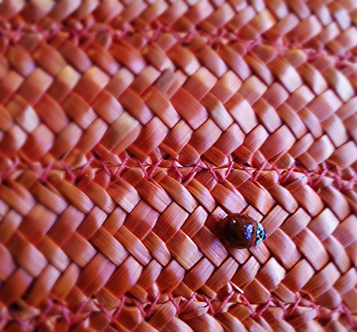 Ladybird | by lorenzomugellini