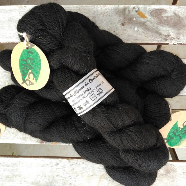 Alpaca de alpaca negra, maravillosa @alpacascantabria #alpacalove #alpacatrax #knittingaddict #yarnaddict #puedodejarlocuandoquiera #tejiendoenlaisla #knittersofinstagram