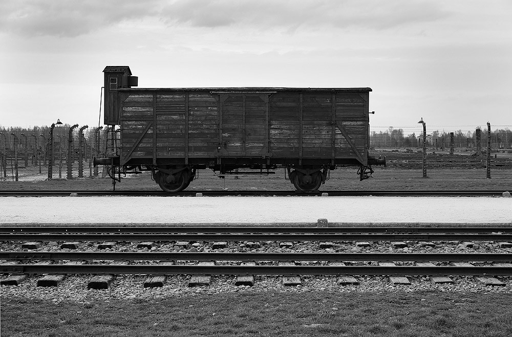 Transport To Birkenau