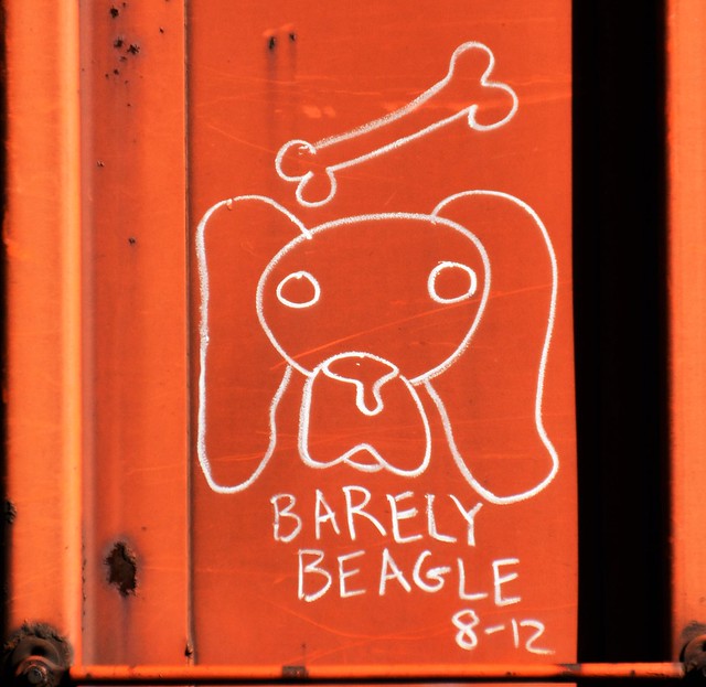 Barely Beagle 8-12