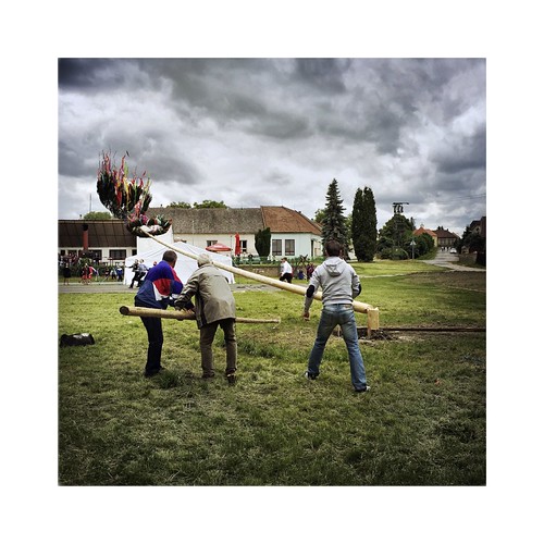 The maypole falling down | Erecting a Maypole: unmarried men… | Flickr