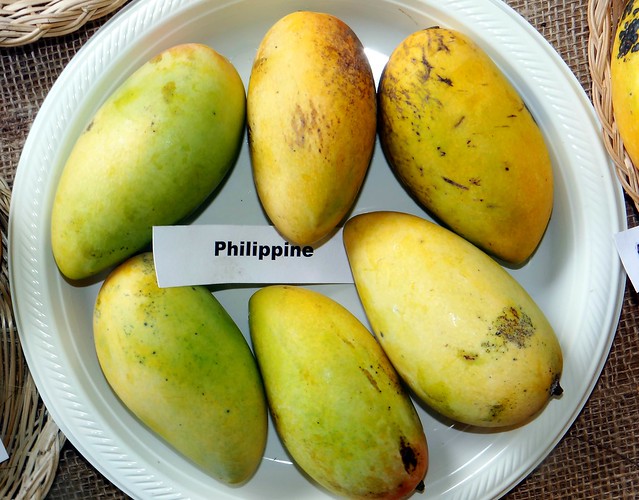 Mango #340: PHILIPPINE