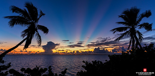sky clouds sunrise reflections landscape island florida sony scenic silhouettes stuart palmtrees tropical fullframe fx sunrays waterscape jensenbeach stlucieriver hutchinsonisland palmcity southeastflorida zeissfe1635mmf4zaoss a7r2 ilce7rm2 sonya7r2