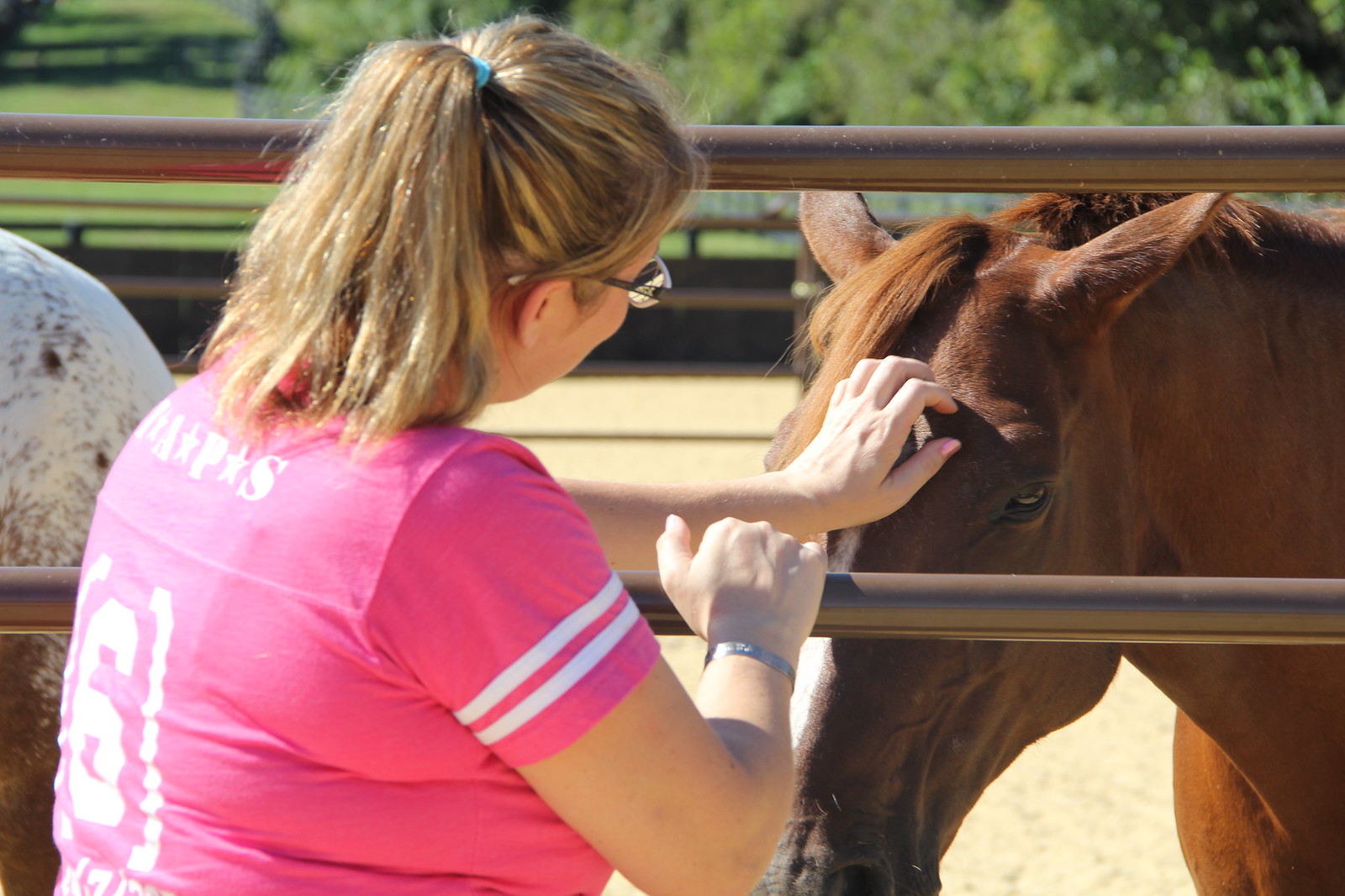 2015_T4T_Salamander Equine Therapy 32