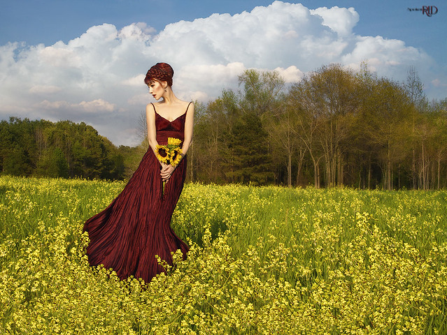 In A Field of Yellow