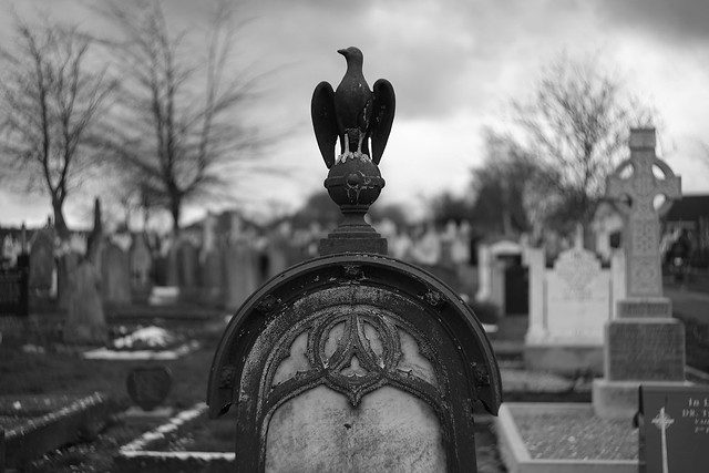Photographing Cemeteries