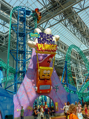 Photo 18 of 25 in the Day 1 - Mall of America gallery