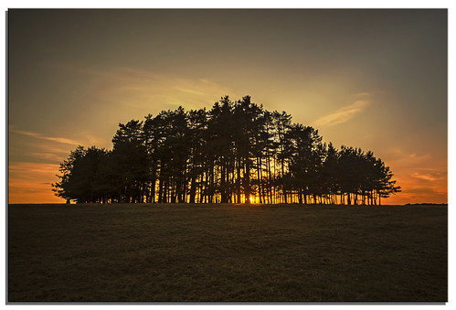 trees sunset ngc gloucestershire mayhill d600 nikonfxshowcase