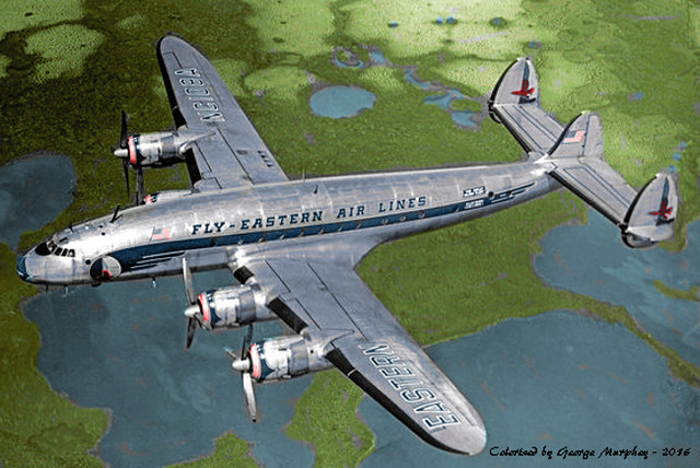 Fly Eastern Colorized