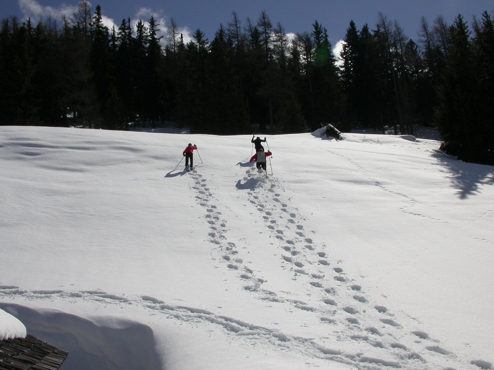 2006 Schneeschuhlaufen