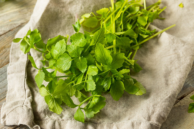 Raw Green Organic Dropwort Herb