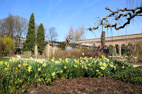 Een mooie lentedag in de Leuvense Kruidtuin (07/04/2018)