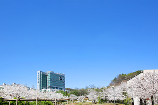 강남 대학교